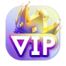 vip